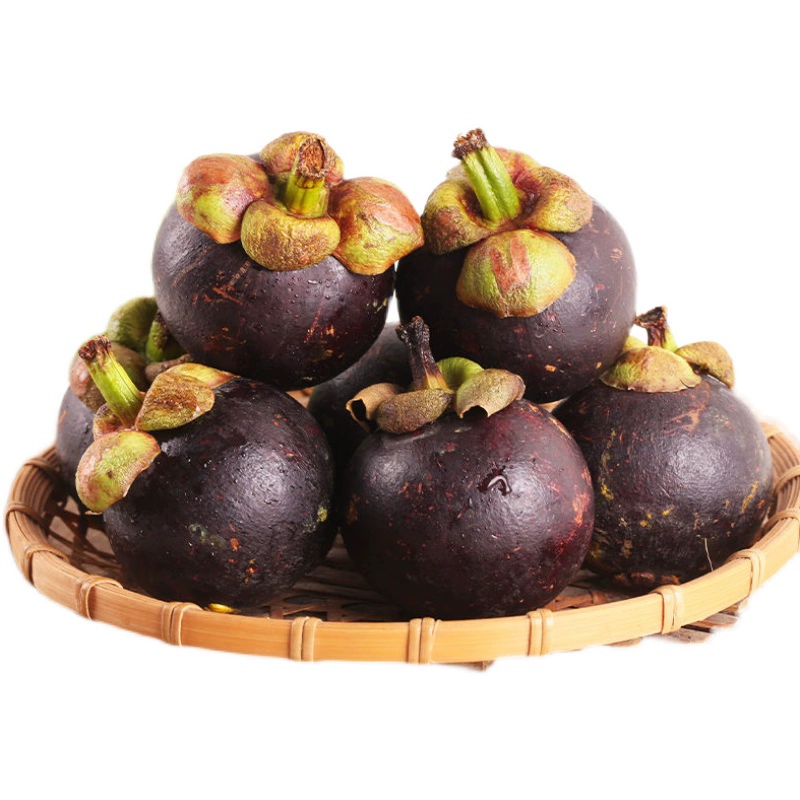 Mangosteen Seeds