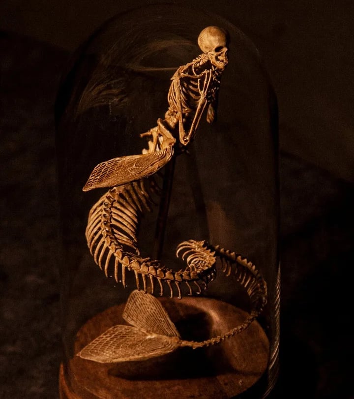 👍Last Day Promotion 49% OFF💥WENDIGO SKELETON CURIOSITY CABINET