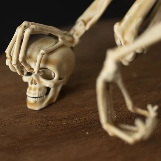 👍Last Day Promotion 49% OFF💥WENDIGO SKELETON CURIOSITY CABINET