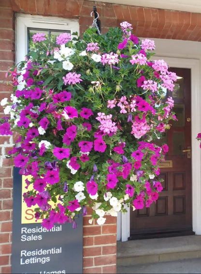 💥This Week's Special Price $16.99🌱Uv Simulation Artificial Morning Glory