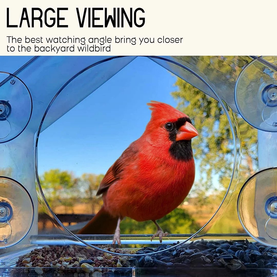 Window Bird Feeder for Outside[BUY 3 FREE SHIPPING]