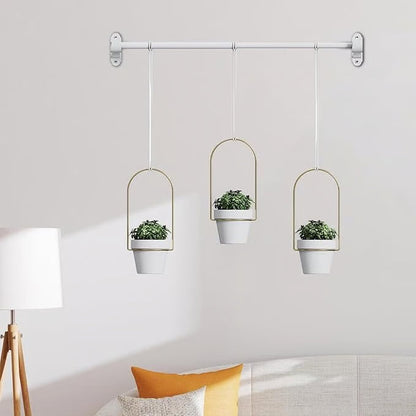 Limited-Time Offer – Hanging Planters