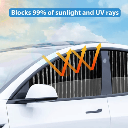 Magnetic Sunshade