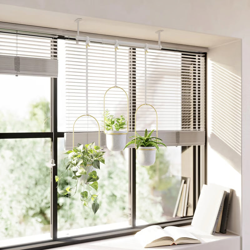 Limited-Time Offer – Hanging Planters