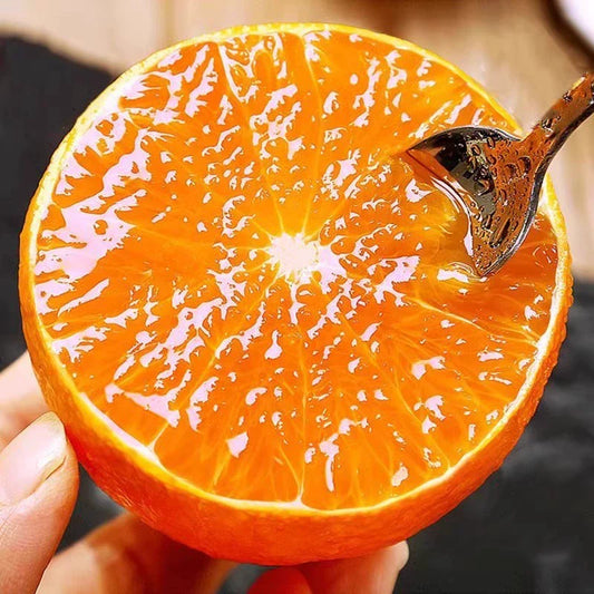 Jelly Orange Seeds🍊
