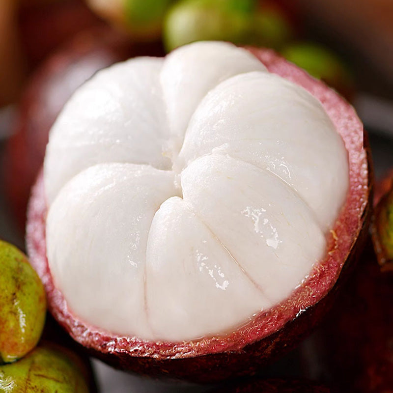 Mangosteen Seeds