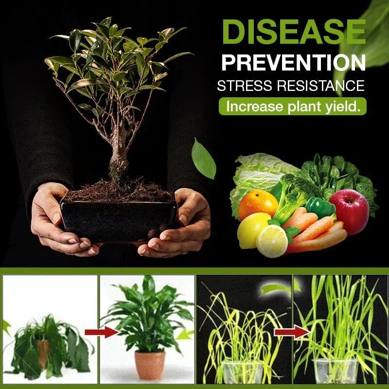 💥This Week's Special Price $18.99🌱The treasure of soil revitalisation