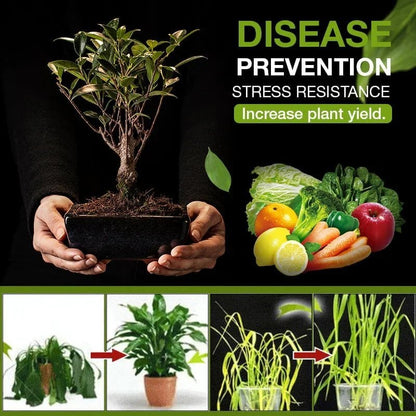 💥This Week's Special Price $18.99🌱The treasure of soil revitalisation