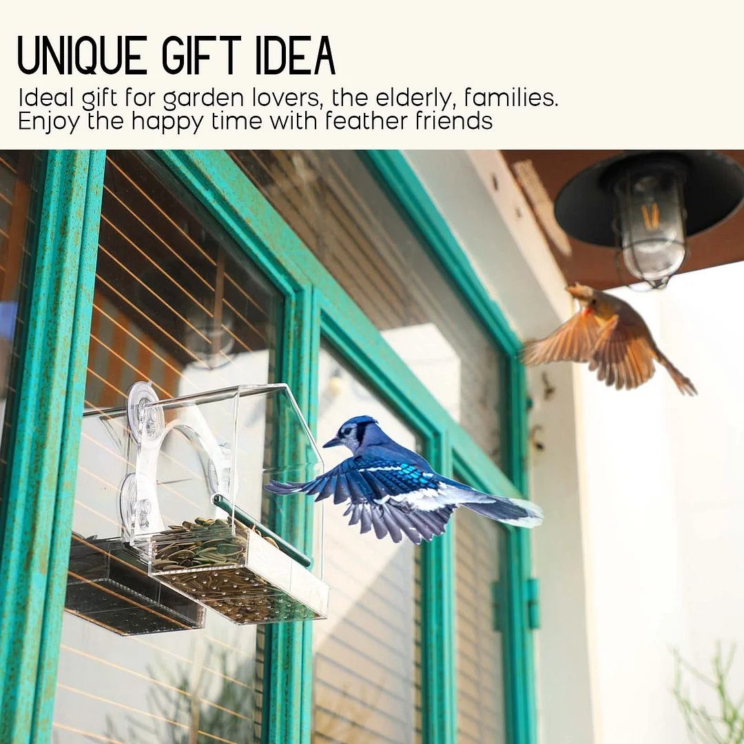 Window Bird Feeder for Outside[BUY 3 FREE SHIPPING]