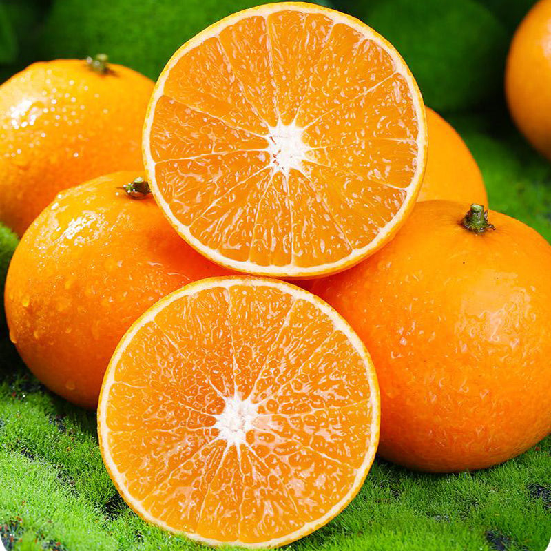 Jelly Orange Seeds🍊