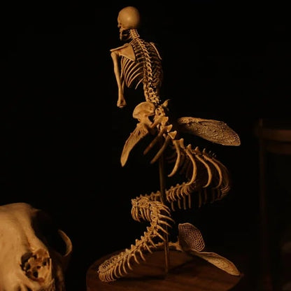 👍Last Day Promotion 49% OFF💥WENDIGO SKELETON CURIOSITY CABINET