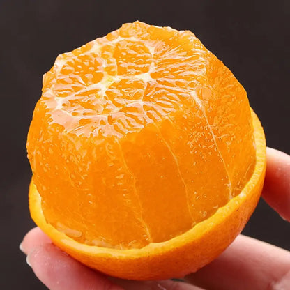 Jelly Orange Seeds🍊