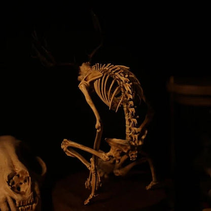 👍Last Day Promotion 49% OFF💥WENDIGO SKELETON CURIOSITY CABINET