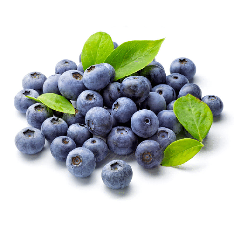 Giant Blueberry🫐Fruit Seeds (HIGH YIELD)