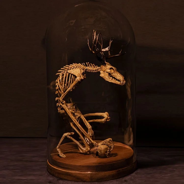 👍Last Day Promotion 49% OFF💥WENDIGO SKELETON CURIOSITY CABINET