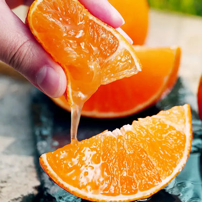 Jelly Orange Seeds🍊
