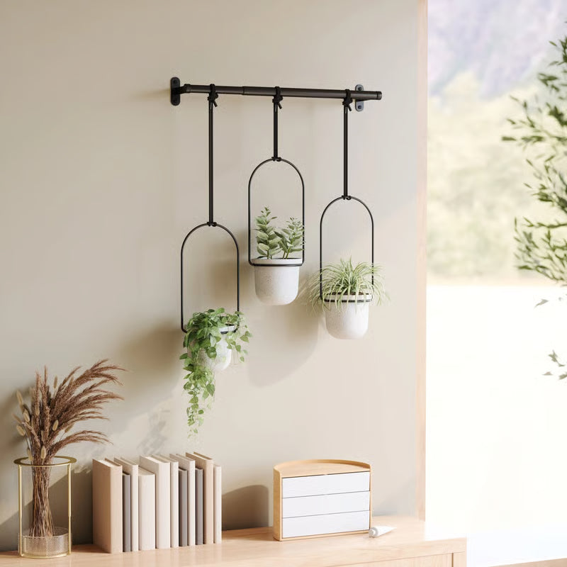 Limited-Time Offer – Hanging Planters