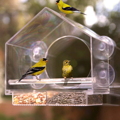 Window Bird Feeder for Outside[BUY 3 FREE SHIPPING]
