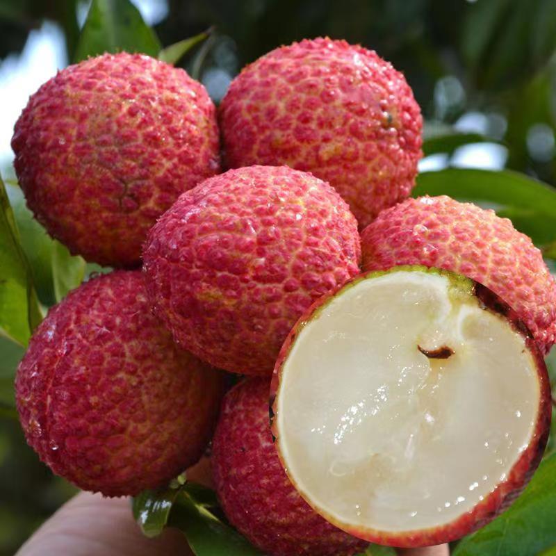 ✨Seedless Lychee Seeds