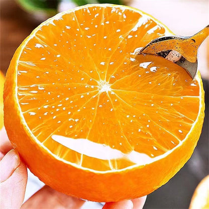 Jelly Orange Seeds🍊