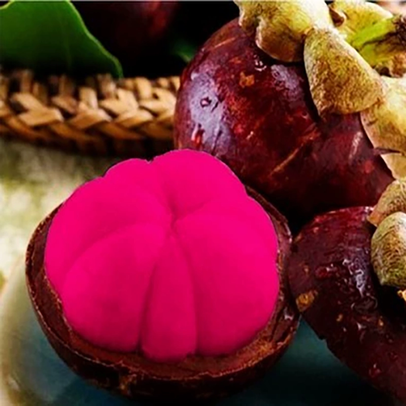 Mangosteen Seeds