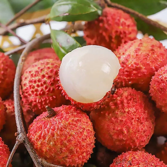 ✨Seedless Lychee Seeds
