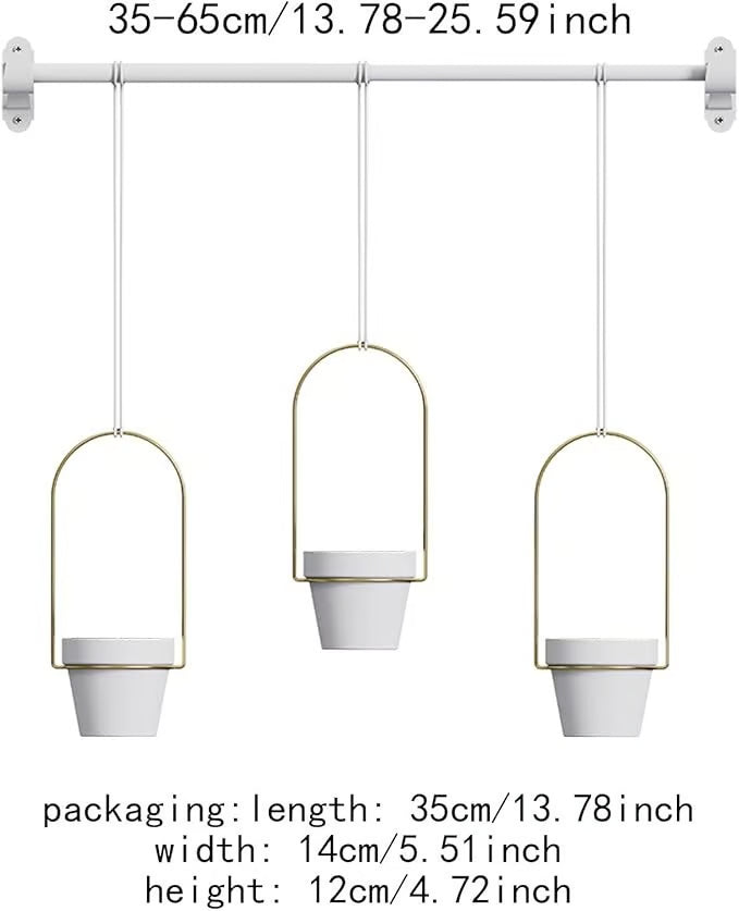 Limited-Time Offer – Hanging Planters