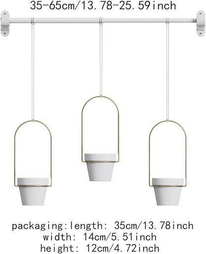 Limited-Time Offer – Hanging Planters