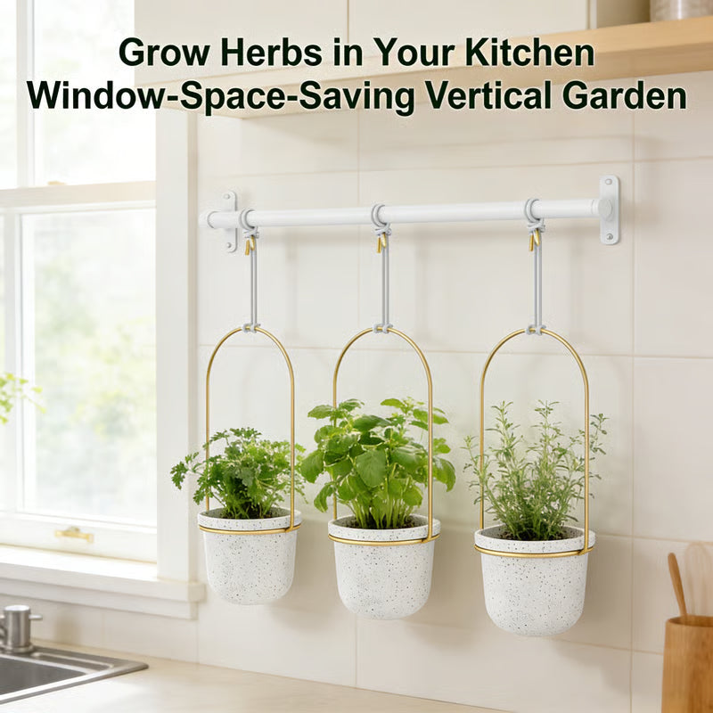 Limited-Time Offer – Hanging Planters