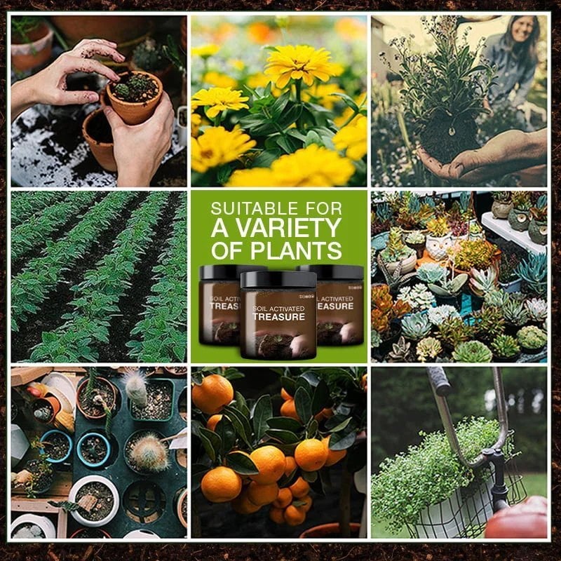 💥This Week's Special Price $18.99🌱The treasure of soil revitalisation
