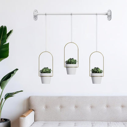 Limited-Time Offer – Hanging Planters